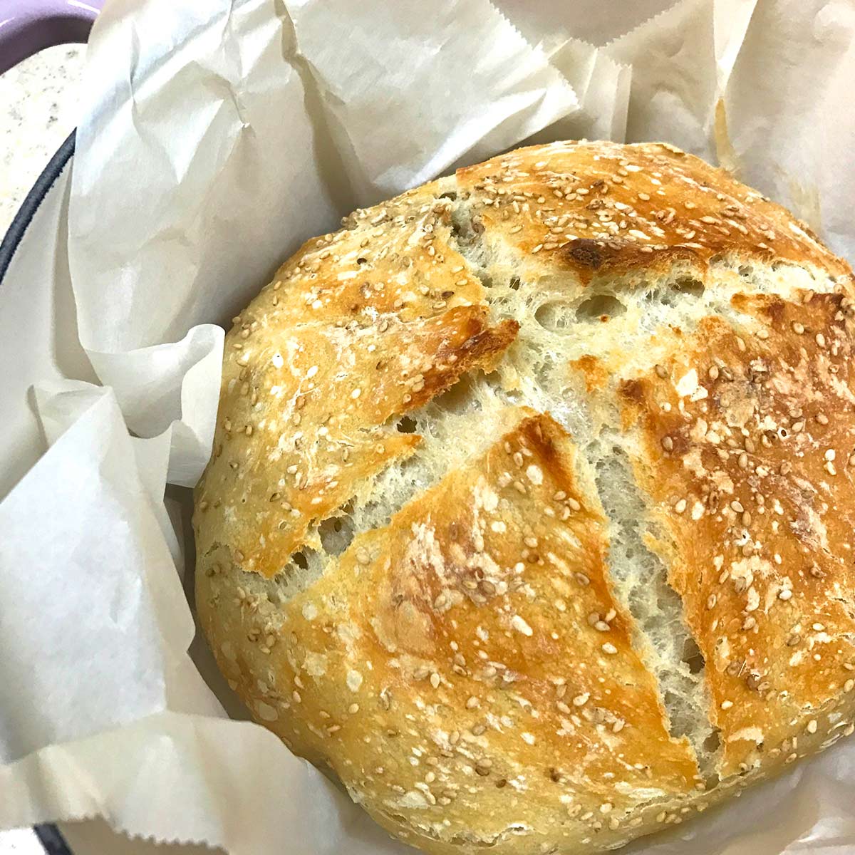 NoKnead Sesame Bread Bear Cusine