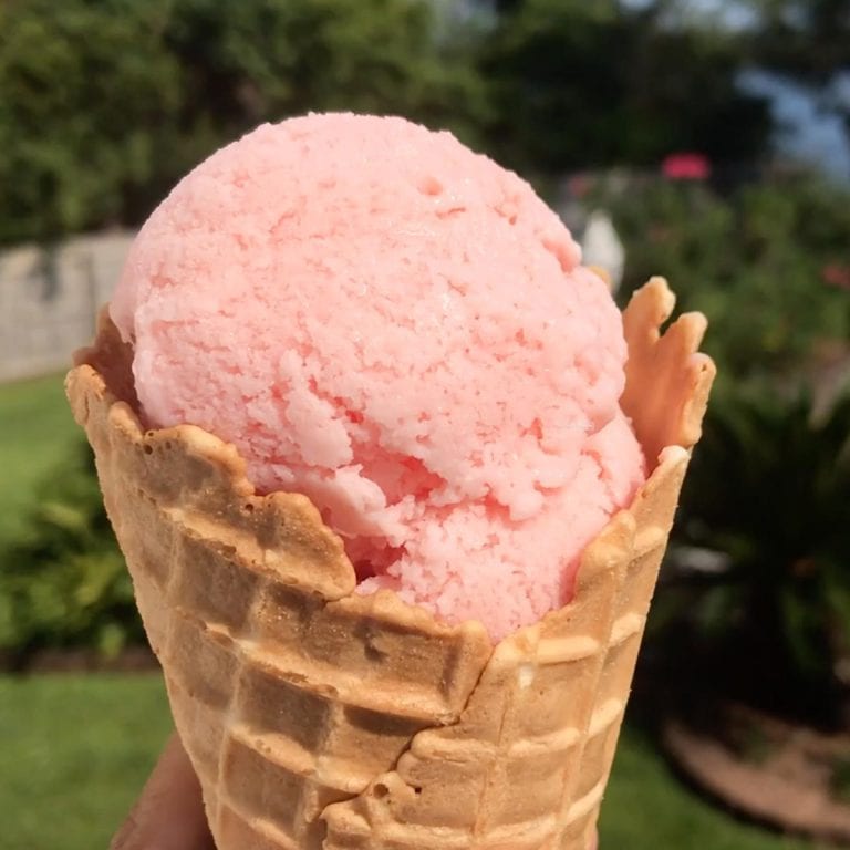 Homemade Gelato without Using Ice Cream Machine Bear Cusine