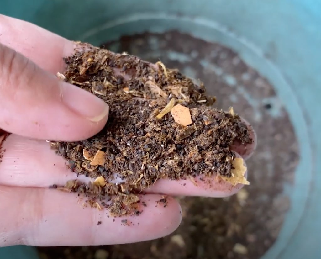 Score a Lomi Composter for 50% Off and Turn Kitchen Scraps Into  Sweet-Smelling Soil - CNET